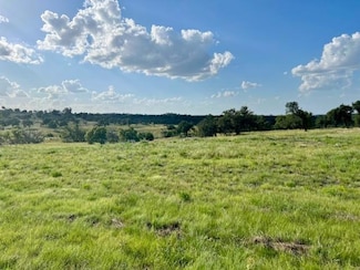 Lot 25 Badger Ridge Rd Unit 25, Fredericksburg, TX 78624