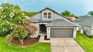 19830 Ellendale Dr, Land O Lakes, FL 34638