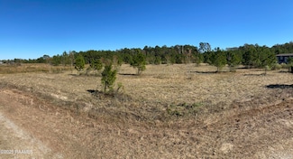 Tbd Wesdale Ln, Crowley, LA 70526