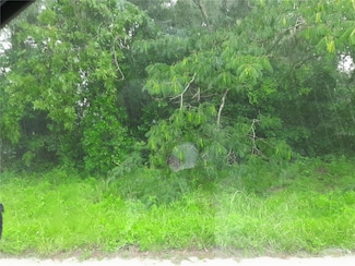 TBD NE 48th St, Williston, FL 32696