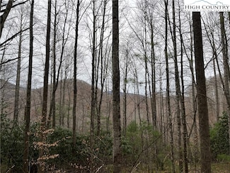 17 Solitude Ln, Todd, NC 28684