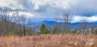 255 Clearview Ln Unit 12, Marshall, NC 28753