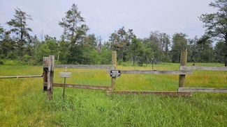 000 Witte Trail, Lovells Township, MI 49738