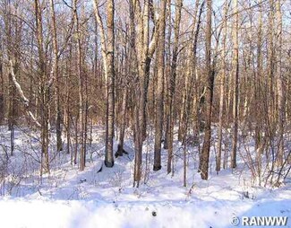 0 Wilson Rd, Glen Flora, WI 54526
