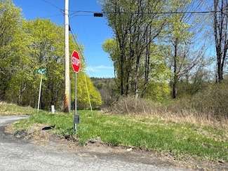 003WP Reservoir Rd Unit LotWP005, West Coxsackie, NY 12192
