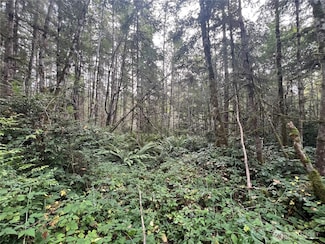 2 XX View Dr NE, Poulsbo, WA 98370