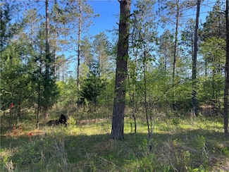 Lot 3 W Elaine Dr, Spider Lake, WI 54843