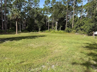 101 Anne Blvd, Georgetown, FL 32139