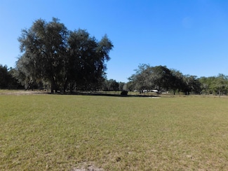 11064 NE 212th Ln, Fort McCoy, FL 32134