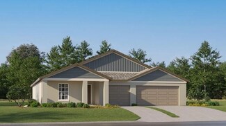 5041 Eagle Rock Dr, Wimauma, FL 33598