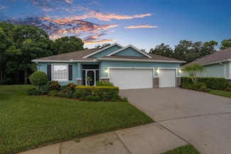 11206 Kiskadee Cir, New Port Richey, FL 34654