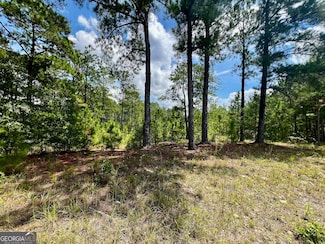 0 Dublin Eastman Rd Unit 10582063, Dexter, GA 31019