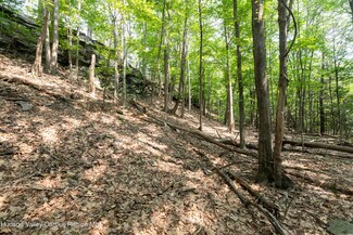 0 Mossy Trail Unit 20243898, Saugerties, NY 12477