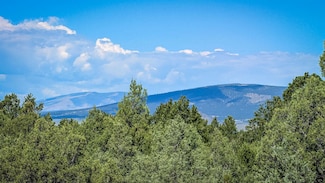 00 Forest Rd 9, Lama, NM 87556