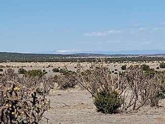 165 Brazos Loop, Estancia, NM 87016