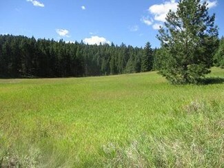 40 Emils Crest Rd, Lakeside, MT 59922