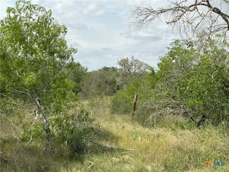 1066 Robertson Rd, Smiley, TX 78159