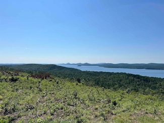 Lot 133 Lakeview Dr W, Roland, AR 72135