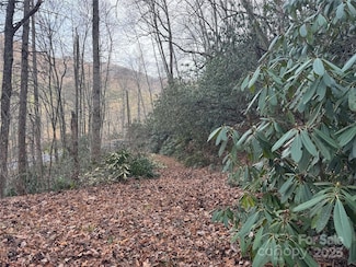 2664 N Carolina 9, Black Mountain, NC 28711