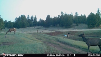 5356 Stonehouse Dr Unit 7, Flagstaff, AZ 86015