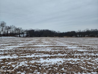 PARCEL 140 Cemetery Rd, Milton, PA 17847