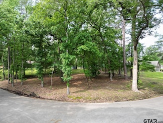 23628 Cove Park Dr, Bullard, TX 75757