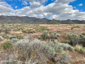 22080 Scout Ct, Humboldt River Ranch, NV 89419