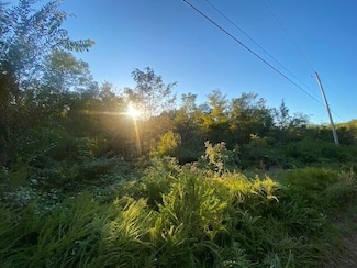 40.9 Teludachee Trail, Orme, TN 37380