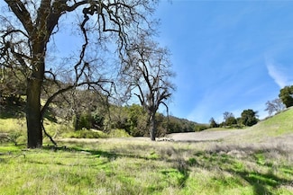 74921 Copperhead Rd, Bradley, CA 93426