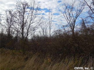 0 State Route 13 Unit S301936, Richland, NY 13142