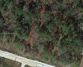 5746 W Overlook Dr, Keystone Heights, FL 32656