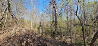 29A Timber Estates Rd, Charleston, NC 28713