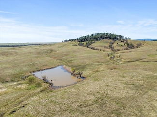 1 Weisman Rd Unit 80 acres Weisman Roa, Whitewood, SD 57793