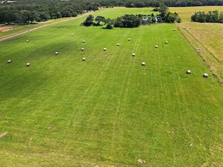 TBD Vz County Road 4302, Ben Wheeler, TX 75754