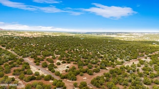 1528 Falcon Rd, Show Low, AZ 85901