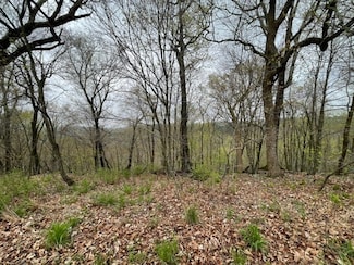 52 Cypress Point Ln, Eureka Springs, AR 72631
