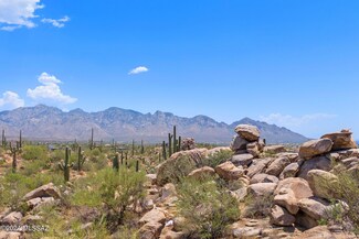 1751 W Tortolita Mountain Cir Unit 505, Oro Valley, AZ 85755