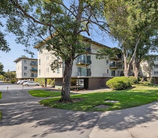 847 N Humboldt St Unit 204, San Mateo, CA 94401