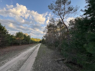 VL Kaleva St, Kaleva, MI 49645