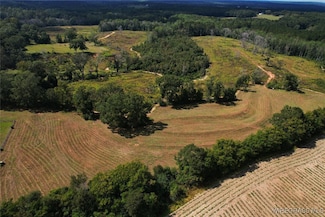 2085 County Road 3341, Brundidge, AL 36010