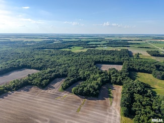 000 Jones Ridge Rd, Alma, IL 62807
