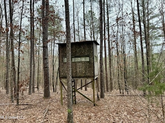 0 Laws Hill Rd, Holly Springs, MS 38635
