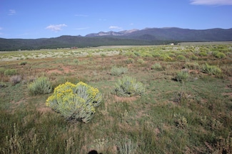 TBD Daisy Ln, Eagle Nest, NM 87718
