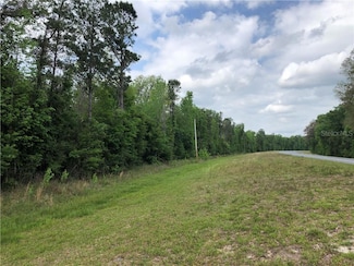 0 SE Us Hwy 19 Unit T3298977, Inglis, FL 34449