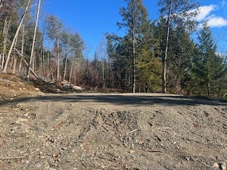 Lot 5 Peterson Rd, Bowerbank, ME 04426
