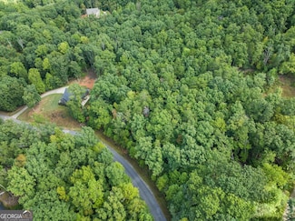 Lot 49 Long Mountain Trail, Cleveland, GA 30528