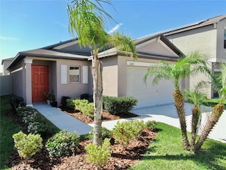 10205 Cool Waterlily Ave, Riverview, FL 33578