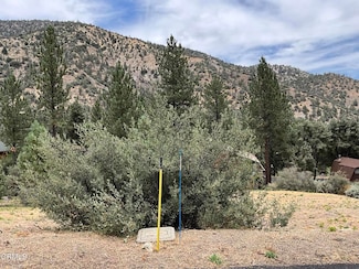 15405 Nesthorn Way, Pine Mountain Club, CA 93225