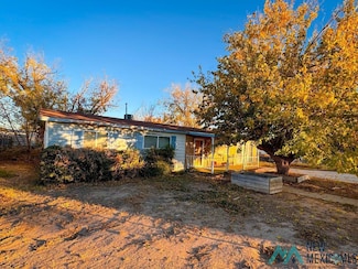 108 N Clayton St, Carlsbad, NM 88220