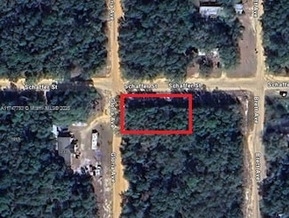 0 Schaffer St Unit A11747750, Interlachen, FL 32148